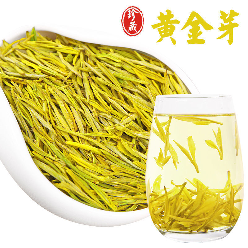 黄金茶  黄金芽新茶
