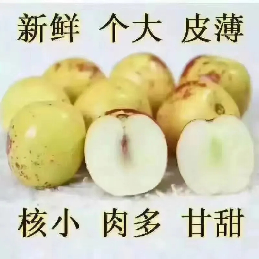 大荔县大荔冬枣，脆甜无渣，皮薄肉鲜，现摘现发，产地直供。