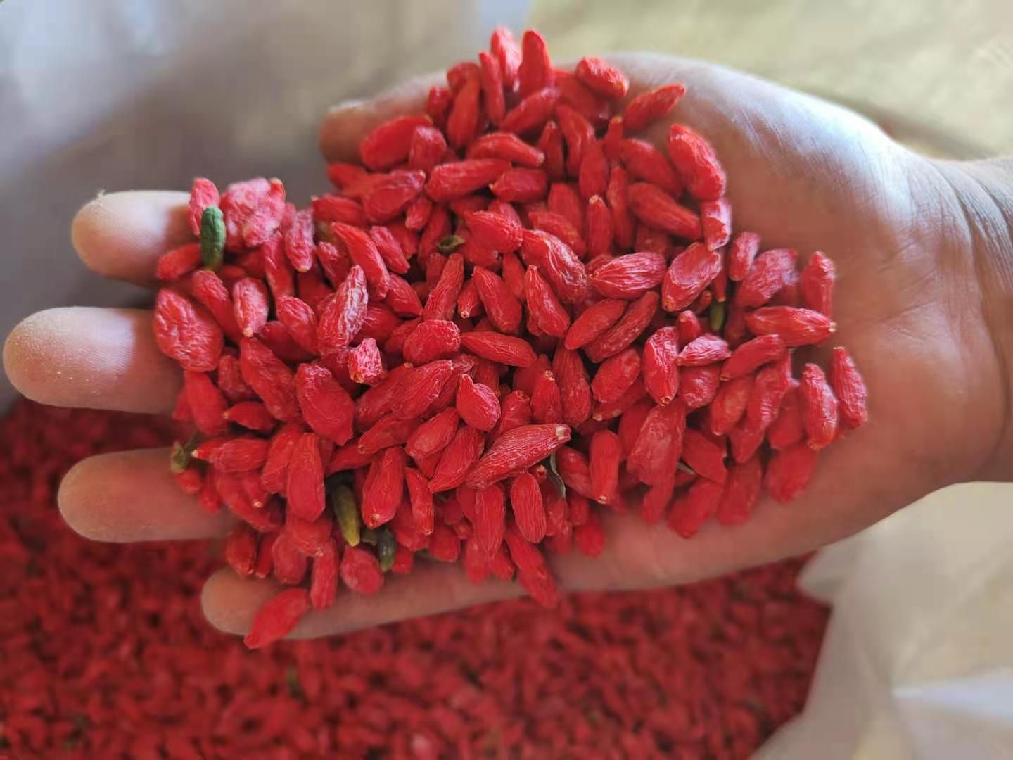 农家自产自然晾晒红枸杞