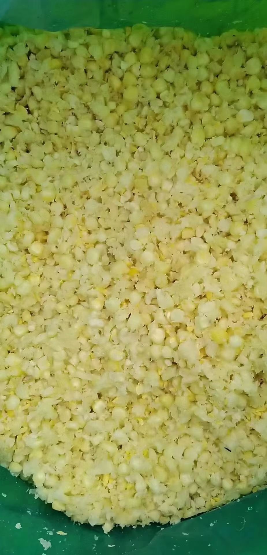 发酵饲料  熟玉米