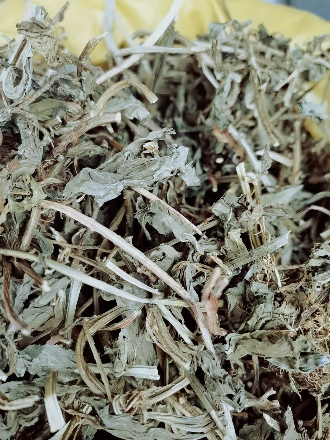 香灵草  灵香草 正品保质保量 中药材大全 各种香辛料批发