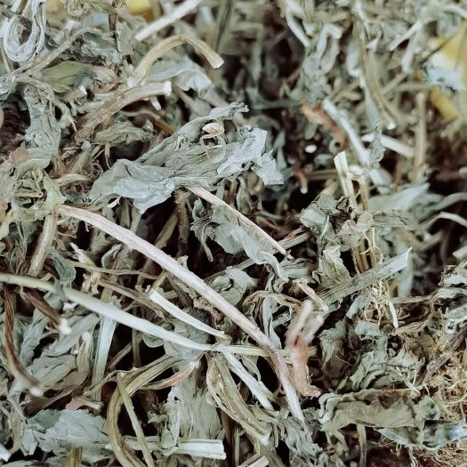 香灵草  灵香草 正品保质保量 中药材大全 各种香辛料批发