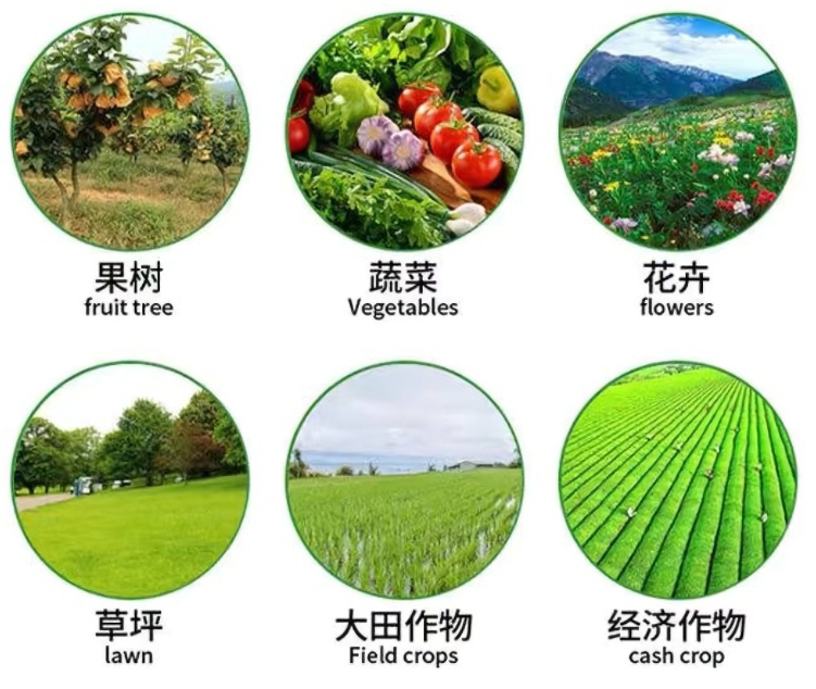 甲霜恶霉灵  30%甲霜噁霉灵根腐病死苗烂根枯萎病猝倒病杀菌
