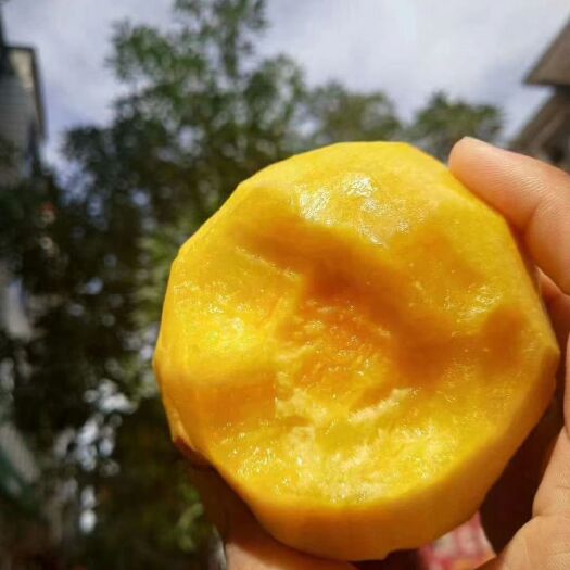 建宁县 建宁锦绣黄桃，吃过忘不了，没吃过来尝试一下吧，