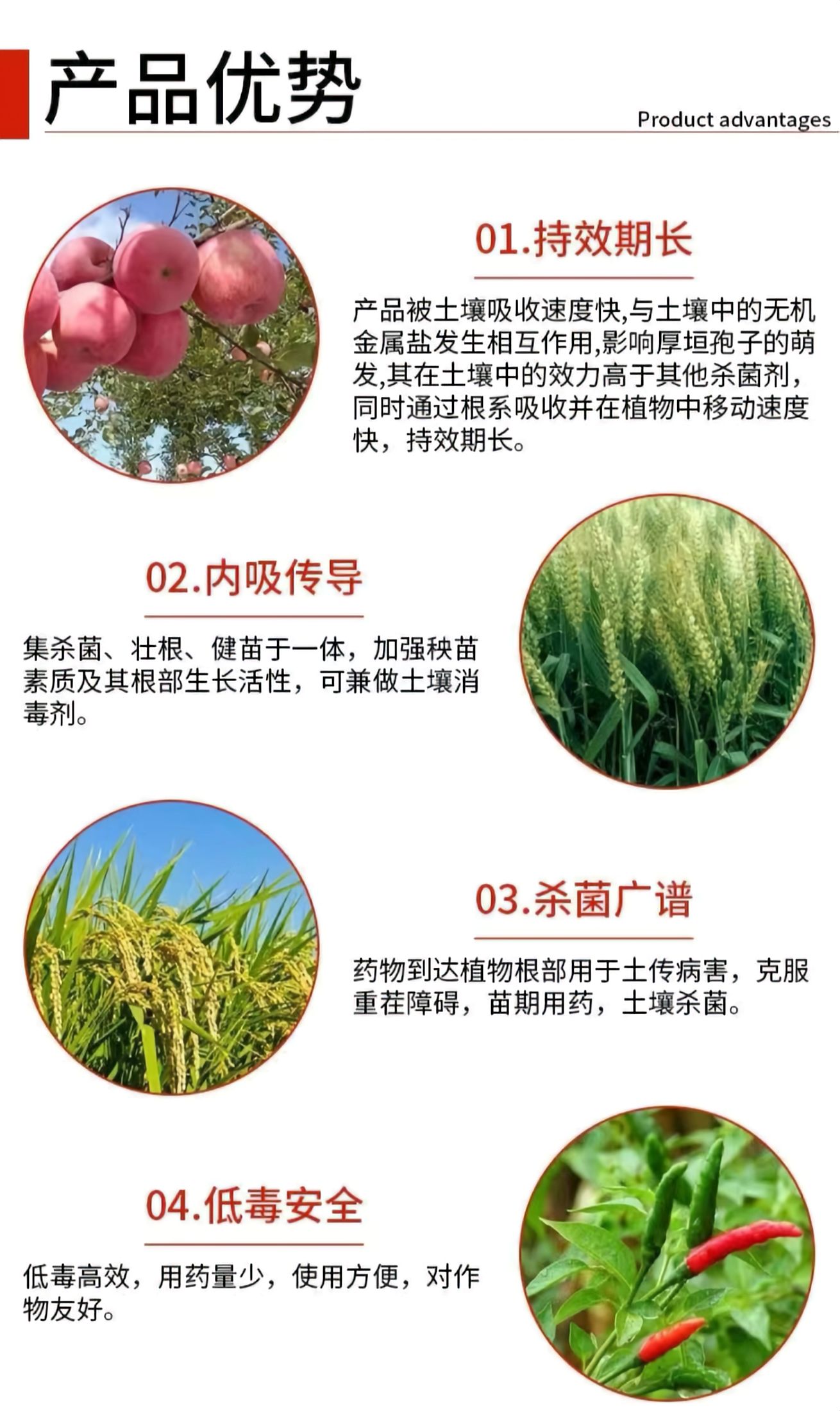 甲霜恶霉灵  30%甲霜噁霉灵根腐病死苗烂根枯萎病猝倒病杀菌