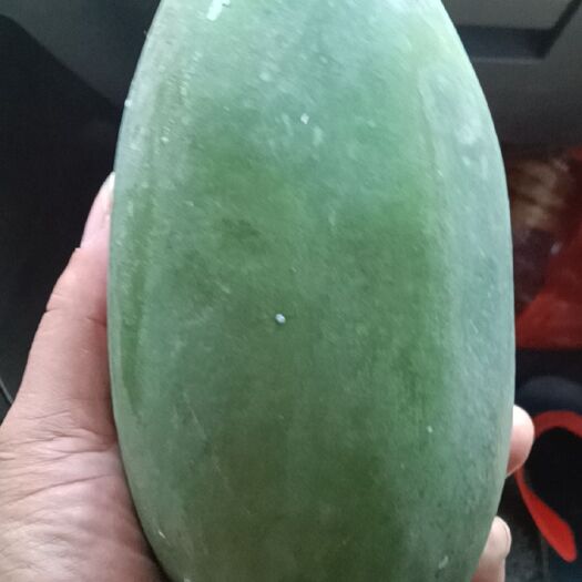 湛江光皮木瓜 水果木瓜