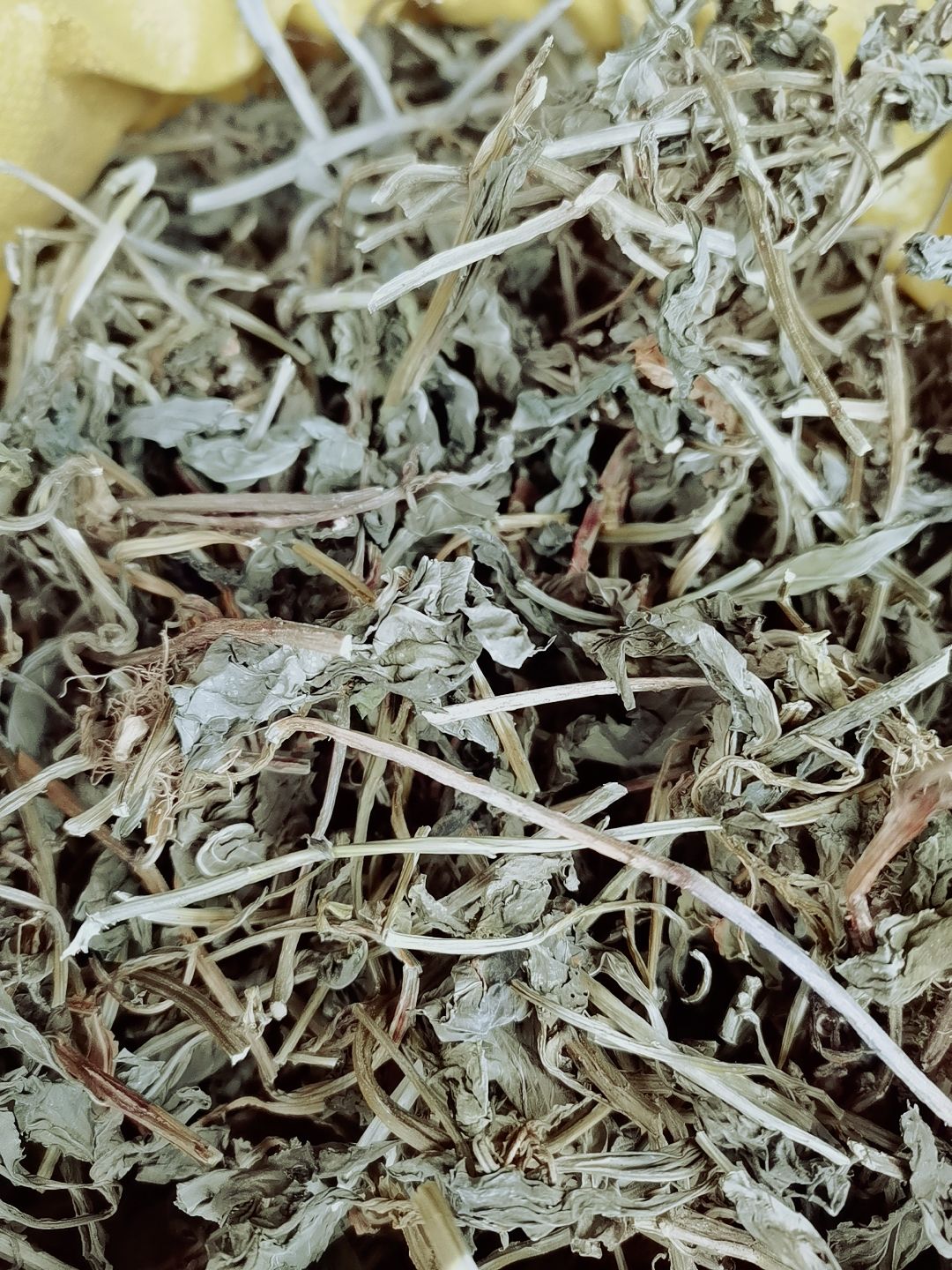 香灵草  灵香草 正品保质保量 中药材大全 各种香辛料批发