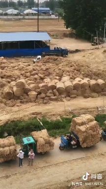 小麦秸秆，精品揉丝小包