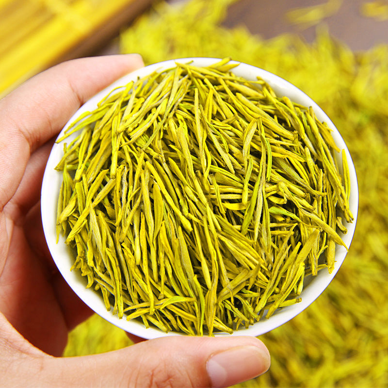 黄金茶  黄金芽新茶