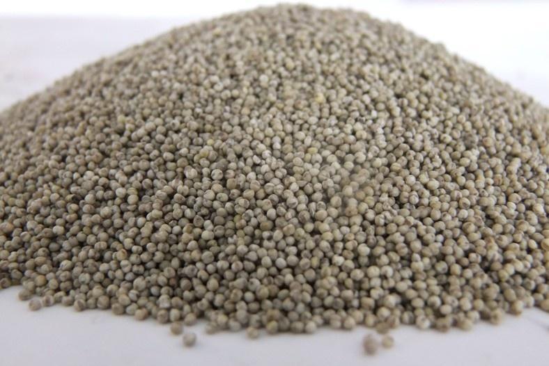  黑小米，口感糯软香甜，颜色呈灰黑色，农家自种