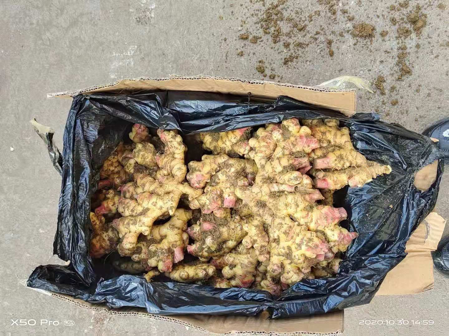 贵州小黄姜，云南小黄姜