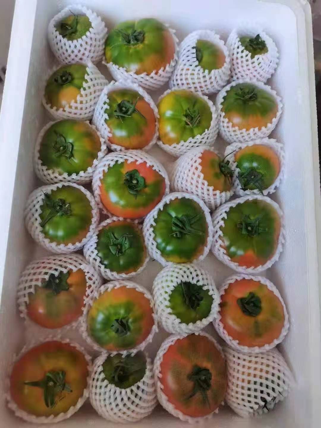 水果西红柿  草莓西红柿，大量有货，精选果，糖度7个左右