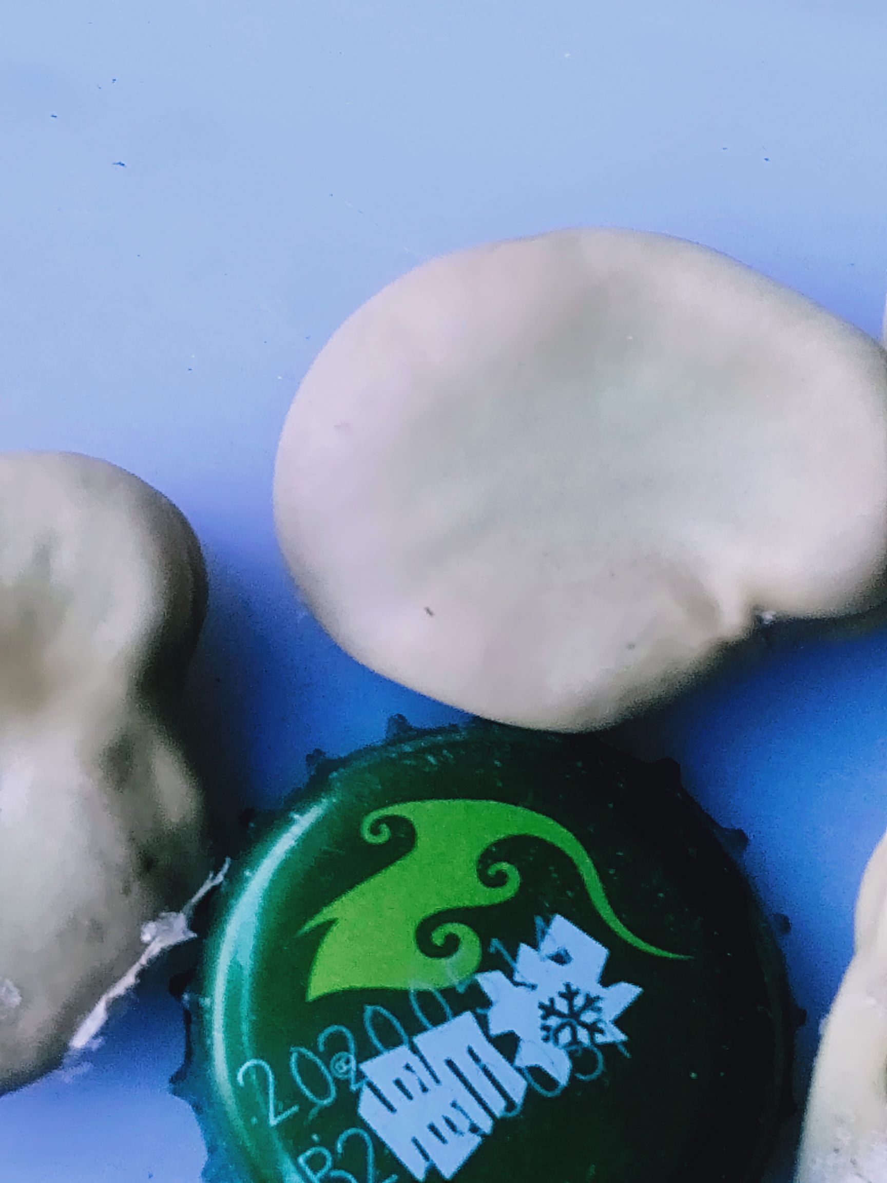  青海蚕豆