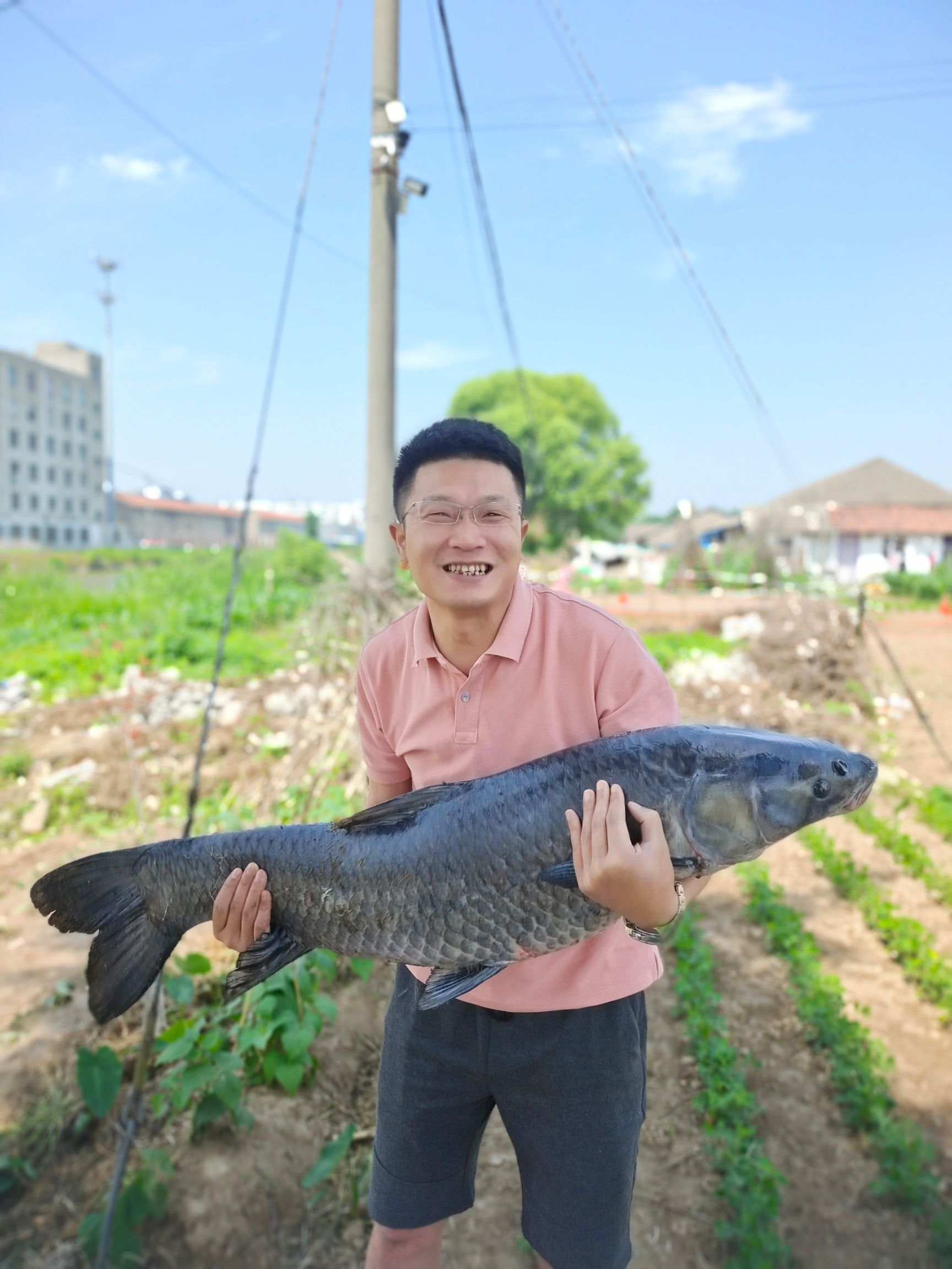 乌青鱼 钓鱼爱好者