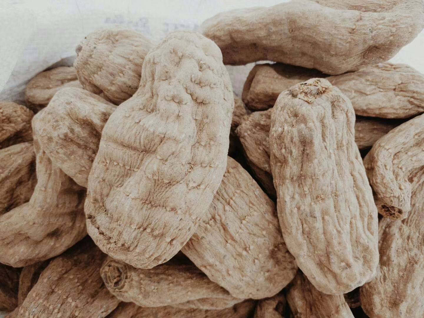 乌红杂交天麻 安徽省安庆市岳西县