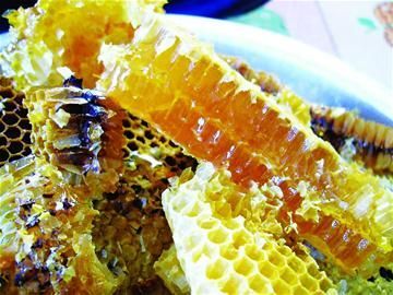 昌江县海南纯美昌江，霸王岭天然蜂蜜，木棉花开爱情来蜂蜜也来