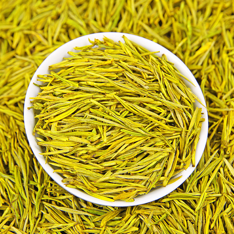 黄金茶  黄金芽新茶