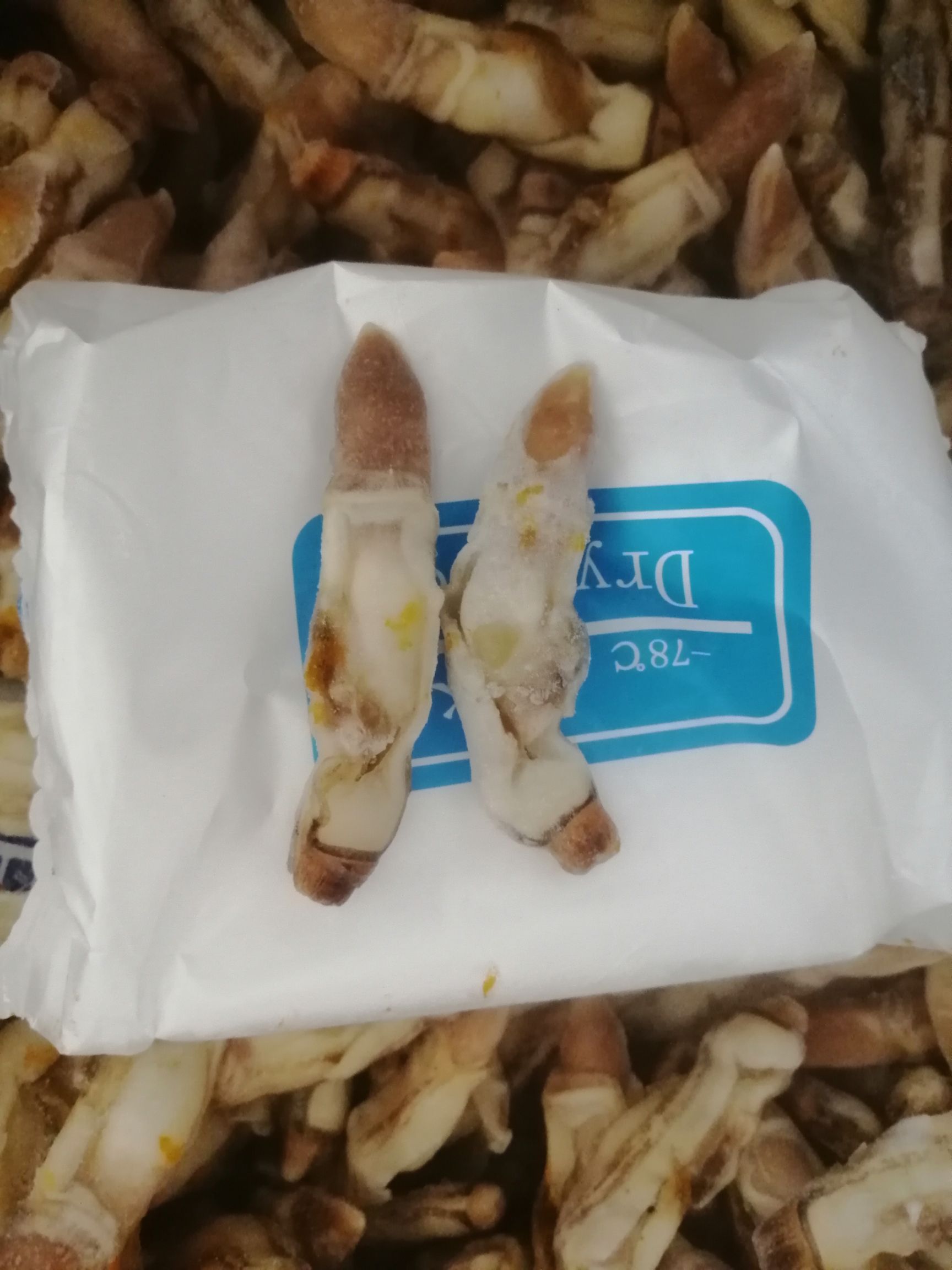 竹蛏王 蛏王肉  无沙嘴蛏王肉 无冰衣蛏王肉 速冻发货 20斤装