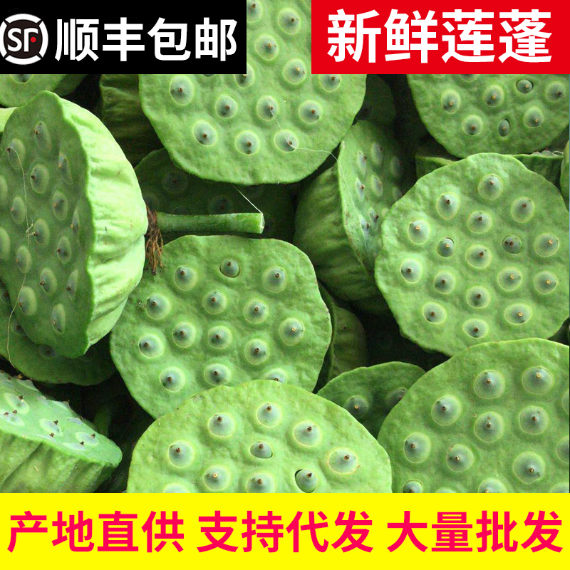 新鲜莲蓬生吃水果嫩莲蓬子莲子湘莲红莲