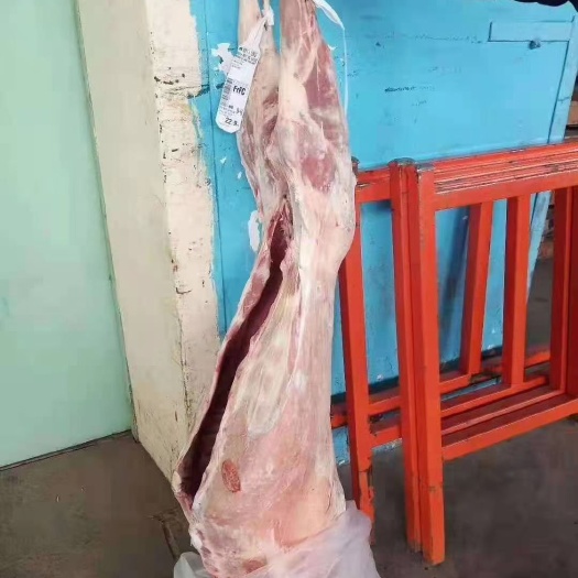 绵羊    大羊酮体，质量好，一手货源，全国冷链发货