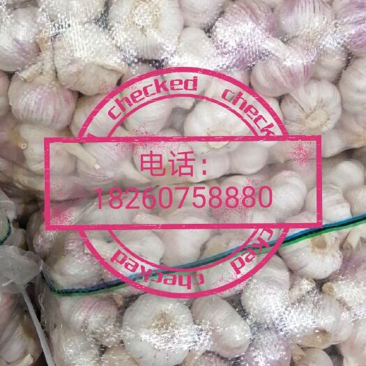 邳州市大蒜 邳州精品净蒜