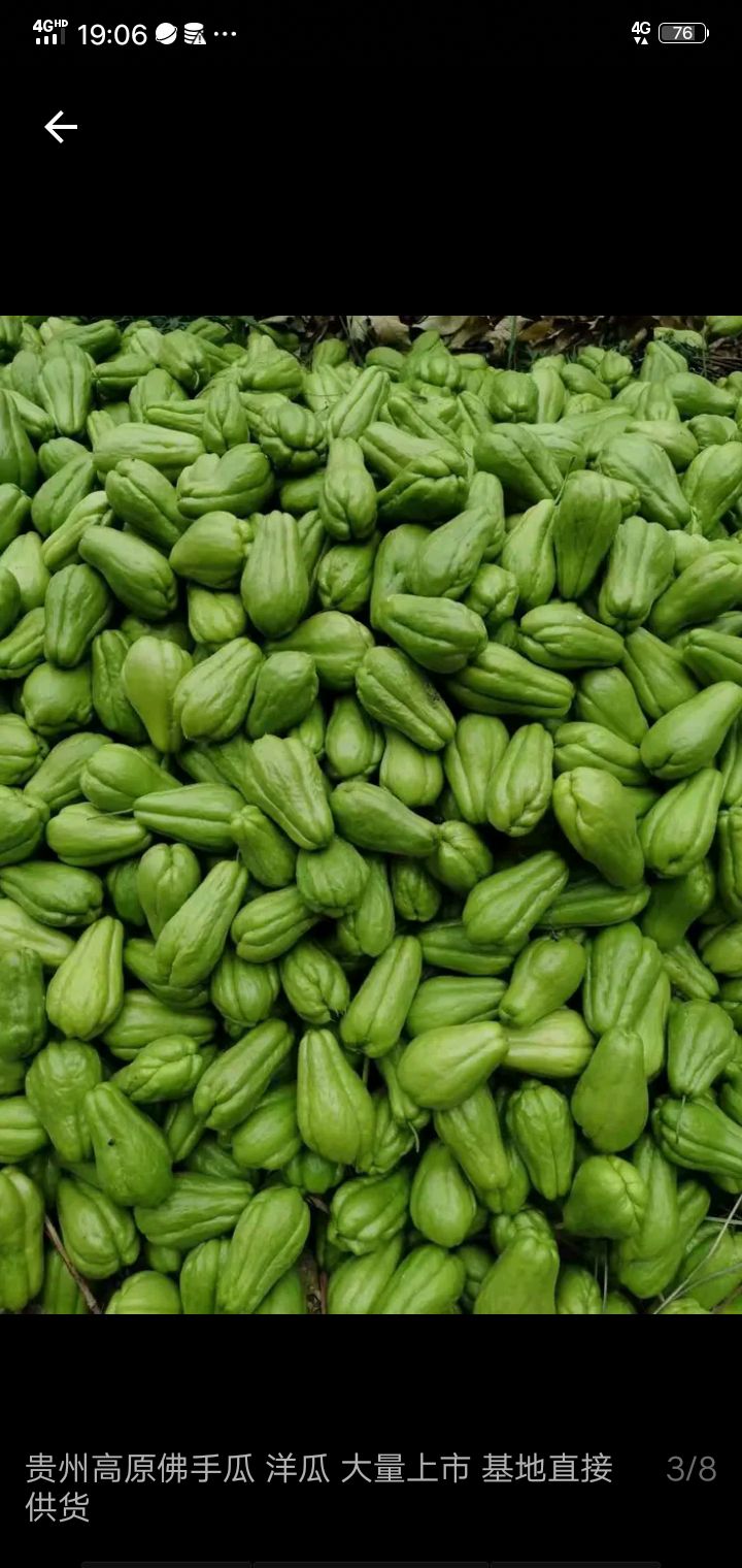 来自云南大山深出的佛手瓜，自产自销，货源充足，看上的老板联系