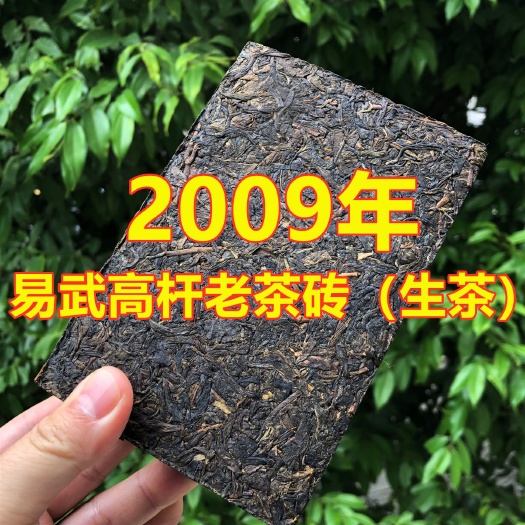 昆明古树茶  2009年易武高杆老生茶500克 老生茶砖茶