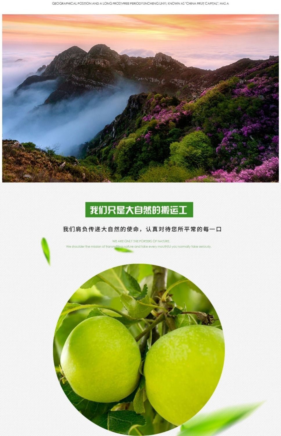 青苹果酸脆水果5/10斤酸甜青苹果水果当季新鲜青苹果