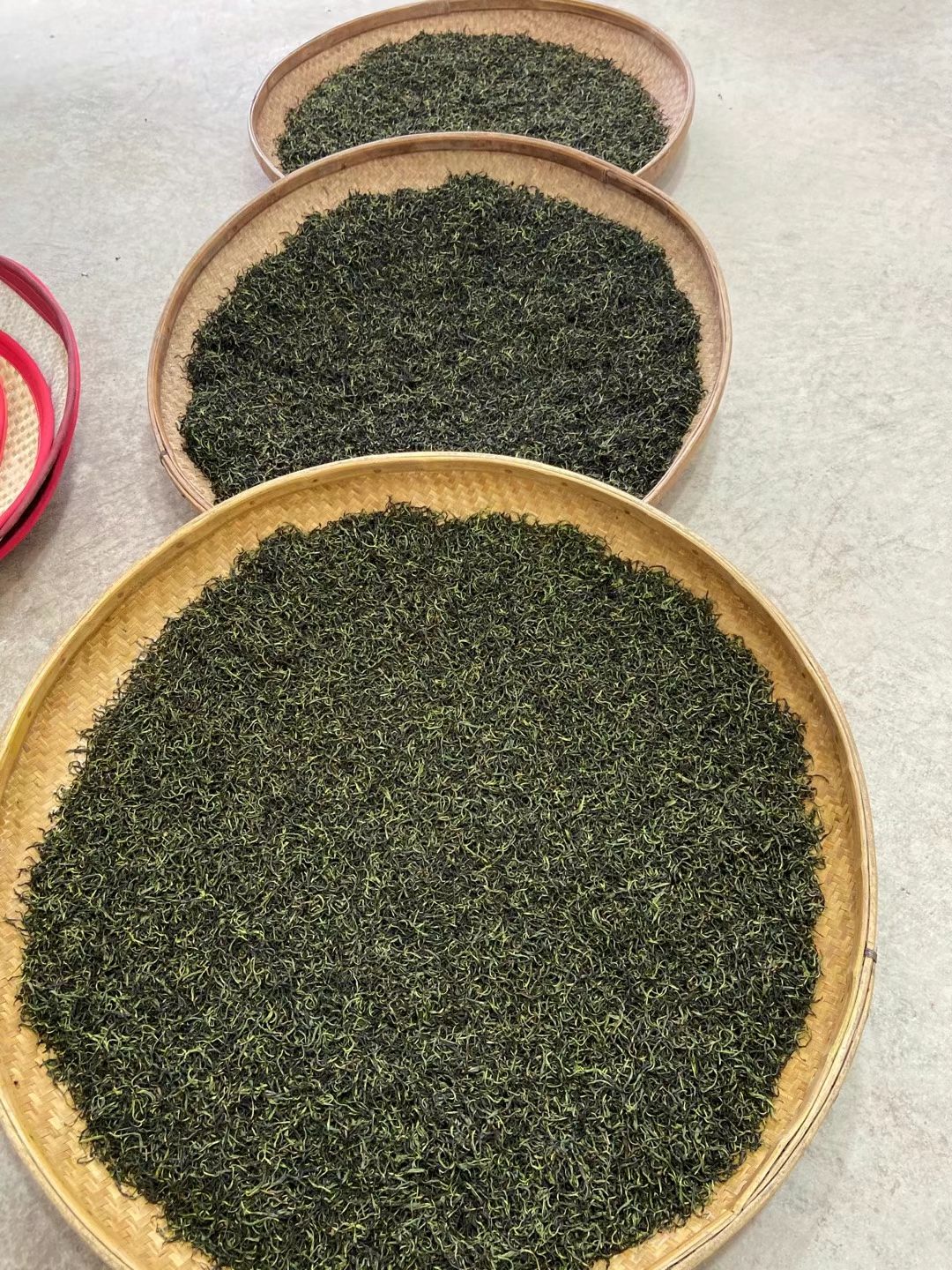 单丛茶  凤凰蜜兰香  2024年春茶 潮州特产广东乌龙