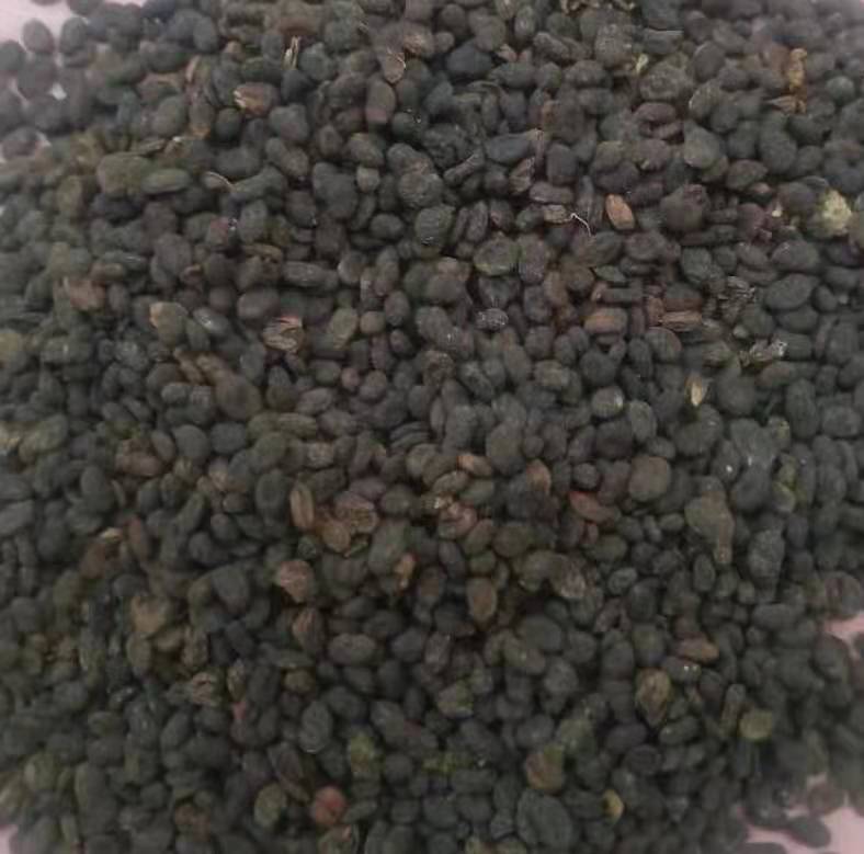 补骨脂  中药材补骨脂、胡韭子、破故纸、 黑故子、婆固脂