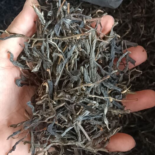 古树茶  普洱茶叶