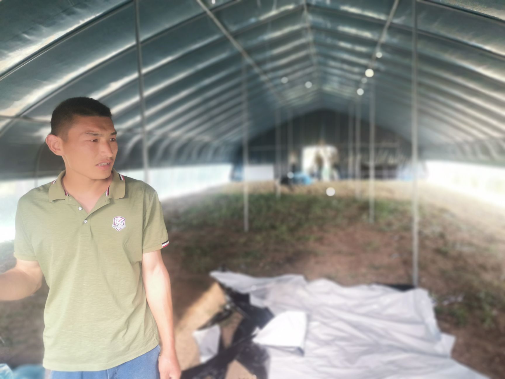 温室大棚，蔬菜大棚，养殖大棚，大棚钢管