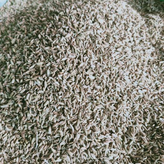 恩施市小茴香 香料可免费打粉
