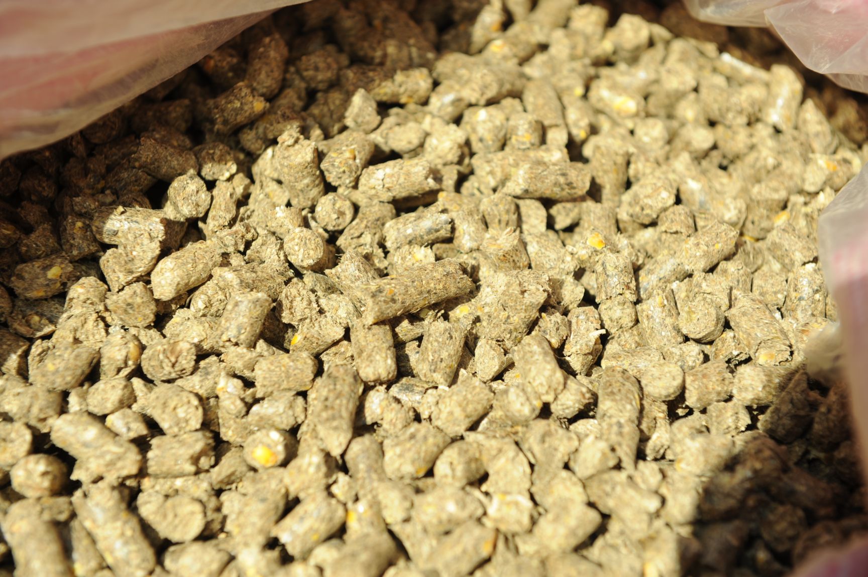 配合饲料 高蛋白昆虫蛋白复合饲料