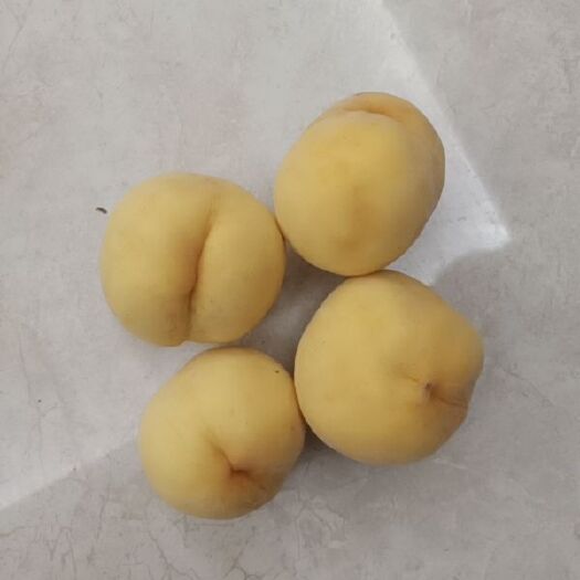 高密市 黄桃 金香 黄金蜜 黄金脆