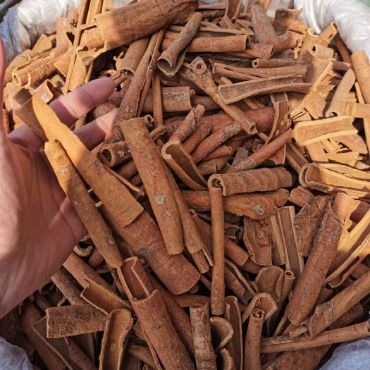 亳州烟桂 肉桂 刮皮桂 桂皮各种香辛料大全 中药材批发