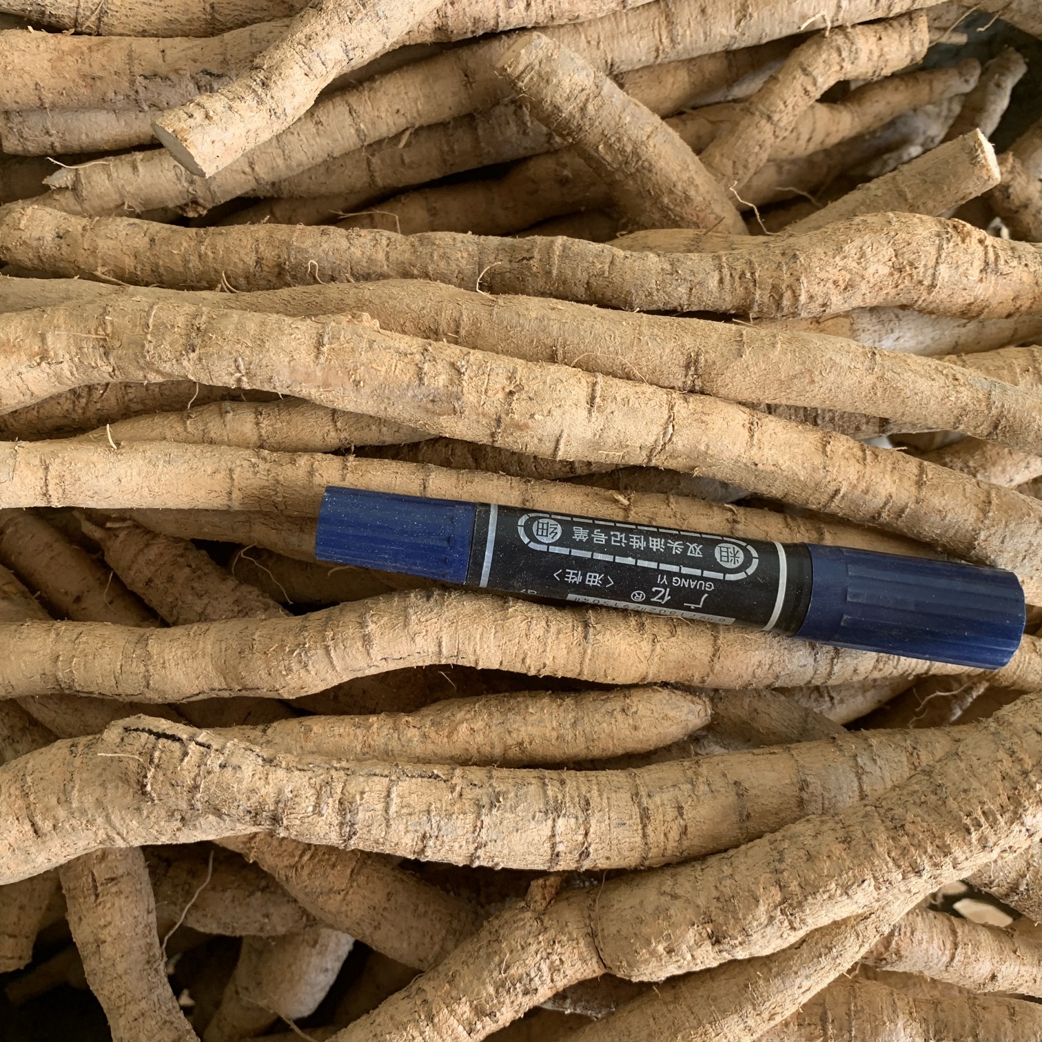 批发新鲜中大叶牛大力！新鲜粉质牛大力薯！粉质小小牛！长期供应