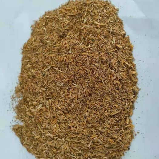 明光市 烘干啤酒糟  现货供应