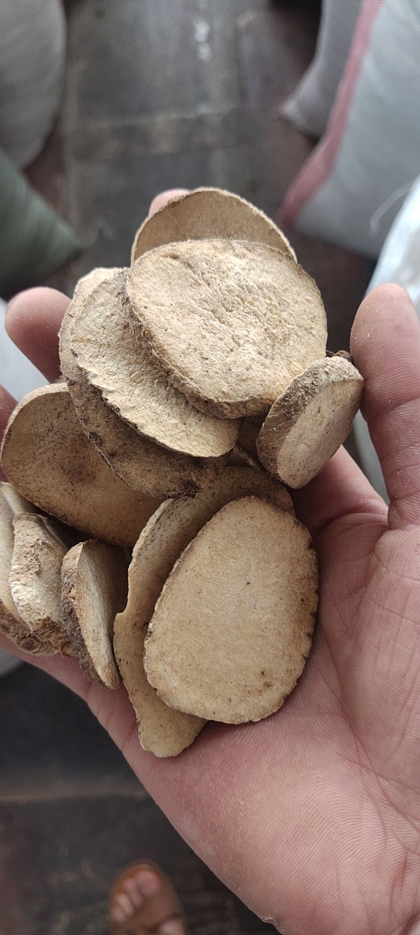 泽泻  中药材泽泻 文且 泽泻片 泽泻 芒芋 泽泄 泽夕