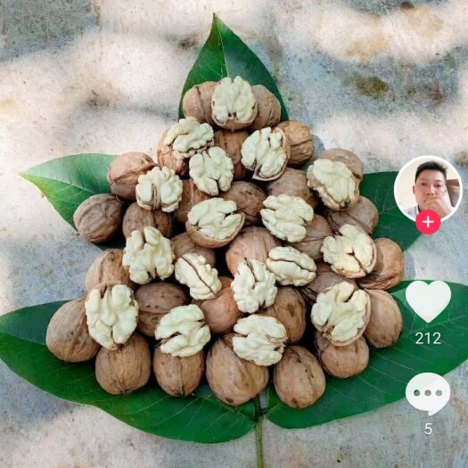 盐源县 青皮核桃，鲜核桃