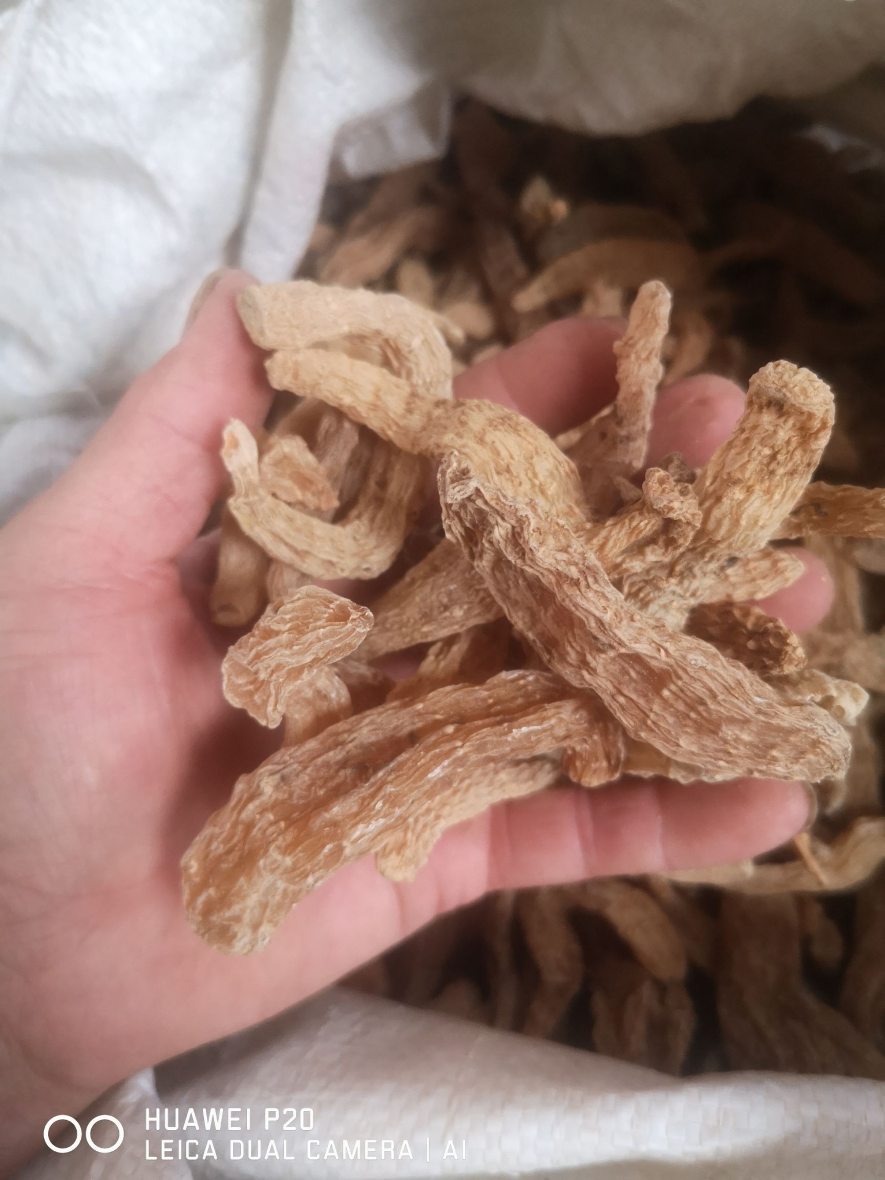 红天麻 大天麻子，中麻子，小麻子