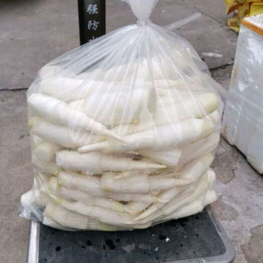 岳西县 茭白
