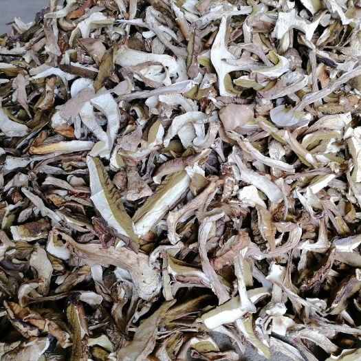 随县美味牛肝菌  白白的，嫩嫩的