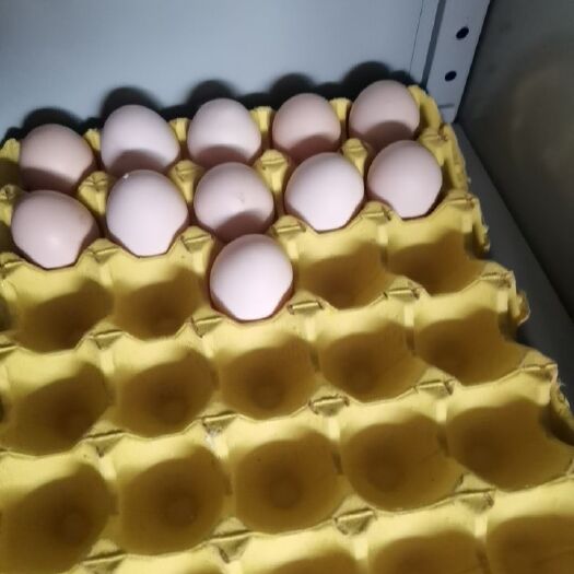建始县土鸡蛋 食用 箱装