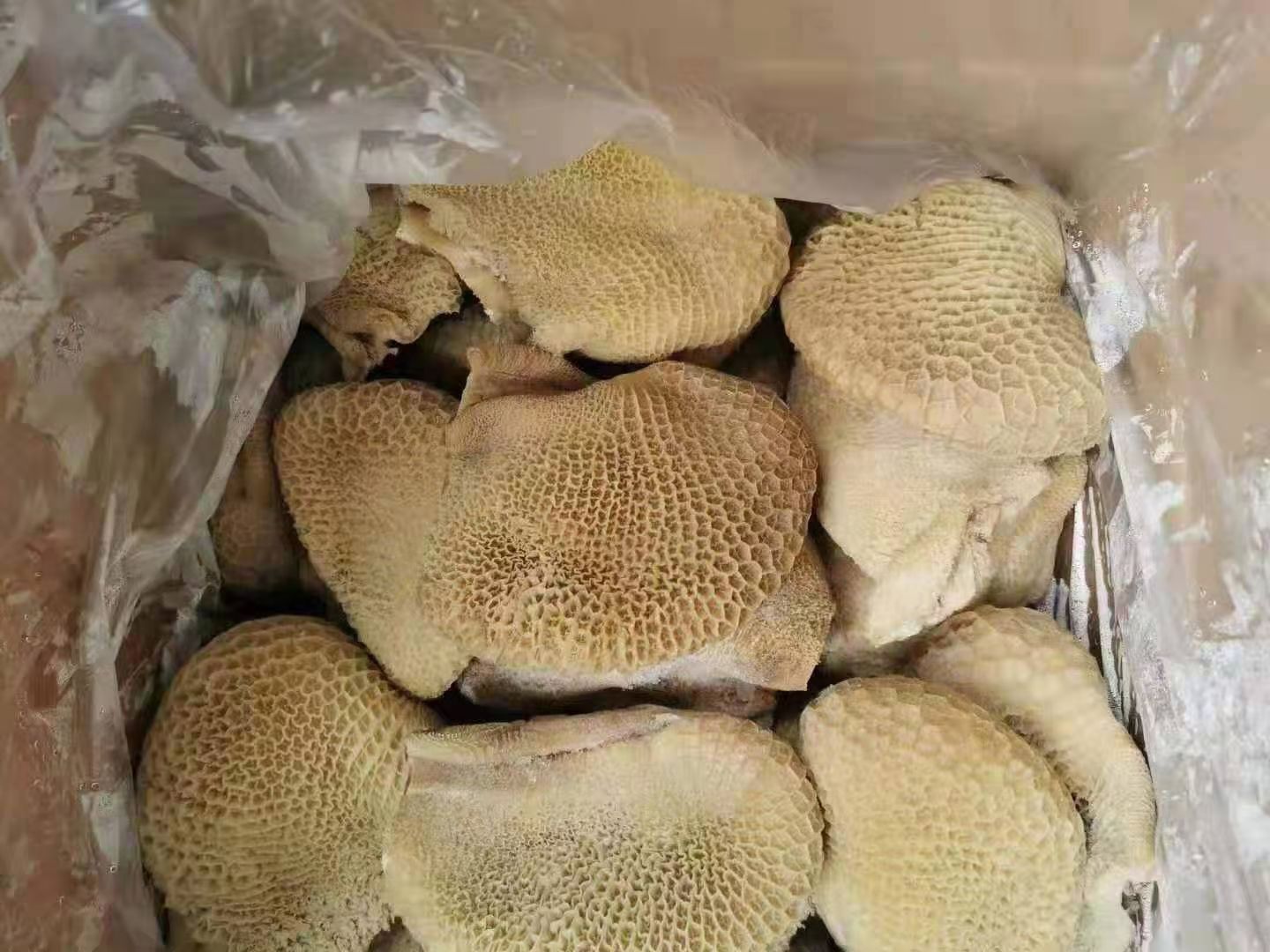 牛副产品  纯干金钱肚，熟金钱肚