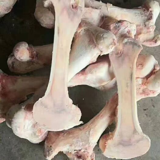 牛棒骨，熬汤牛骨头