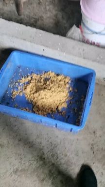 黑水虻虫卵500克自产自销保资保量常年供应