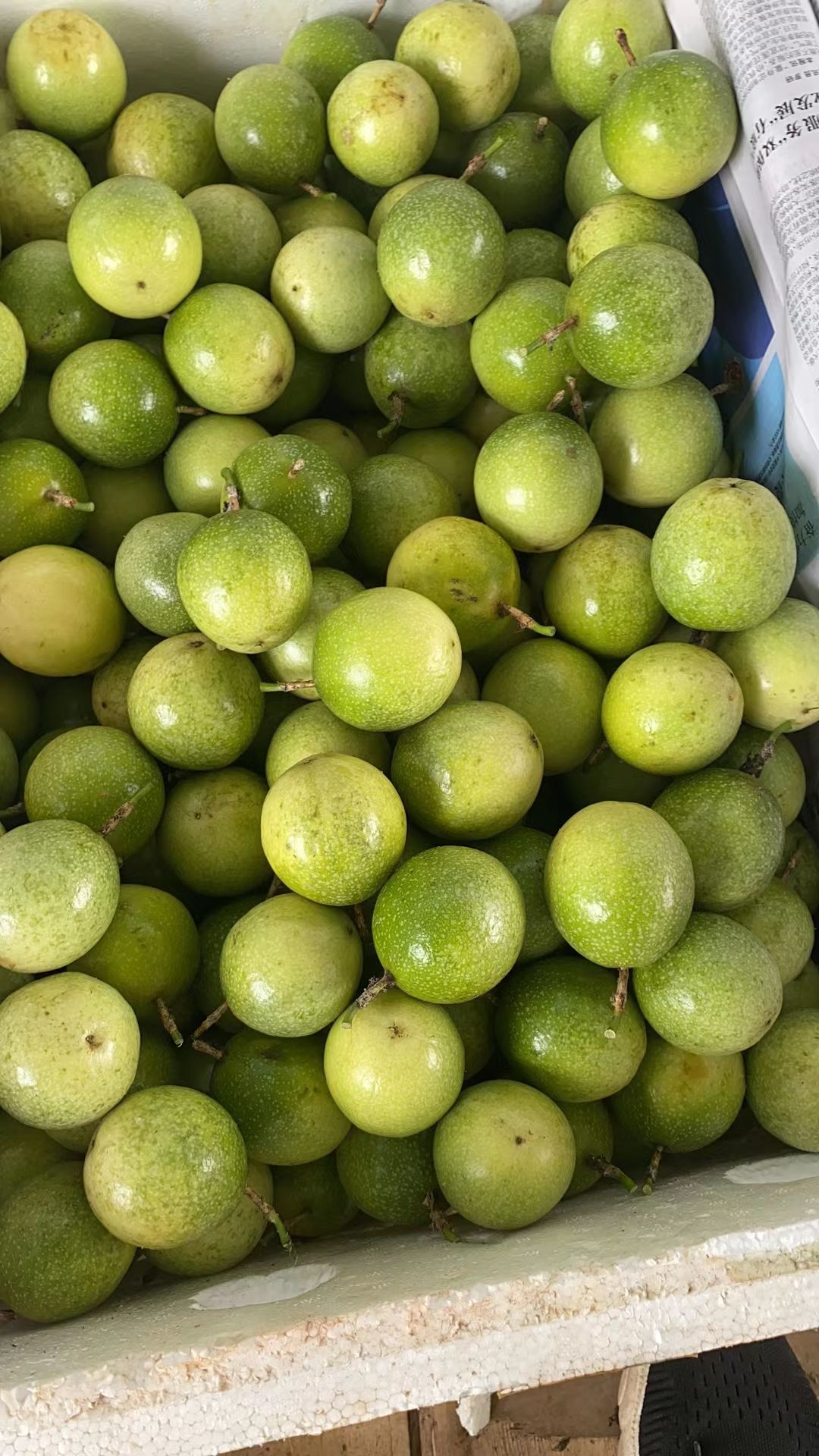 【现摘新鲜】黄金百香果大果1/5斤鸡蛋果黄皮果水果批发