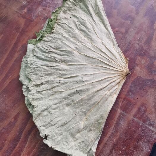 石城县江西荷叶