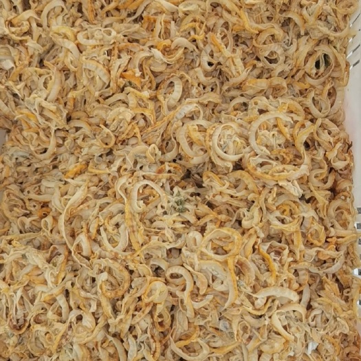庄河市虾夷扇贝 虾怡贝裙边，扇贝边